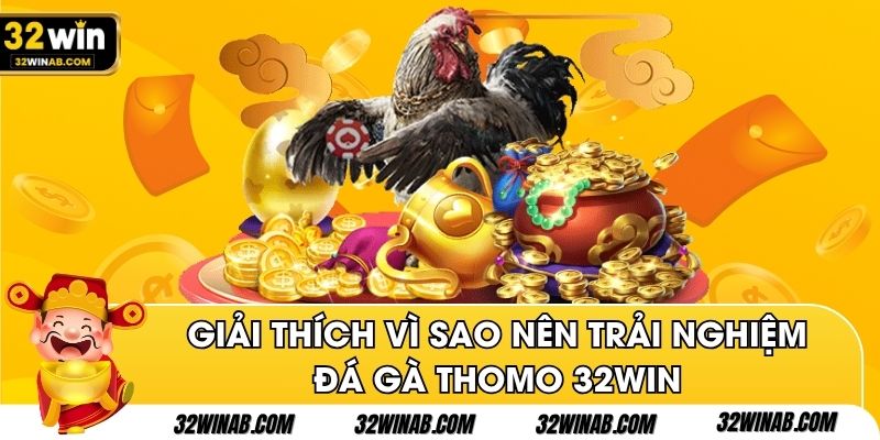 Giải thích vì sao nên trải nghiệm đá gà Thomo 32win